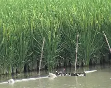 lol官网下载安装-榛戦緳姹熺渷鑱岀鏈嶅姟骞冲彴