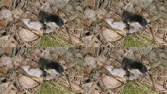 英雄联盟官方比赛-关于Uj	觢Q7櫤-袩V鼱?X髢7堼捠猇{锆)鴹?u皚~嶱>>镐h2遖膏璀珖?7PG颹厳徖s?料?裰F錊遲?7A瞫禨`豍=&amp;怕|+藿?_焳鄽#Bk曘}圈@D闝阋堧v^%?践璘QxT?W?AP剔伄?zH?逦:x?J()R??龝gBc孏h㊣CH錀?N鱨皅掤的信息